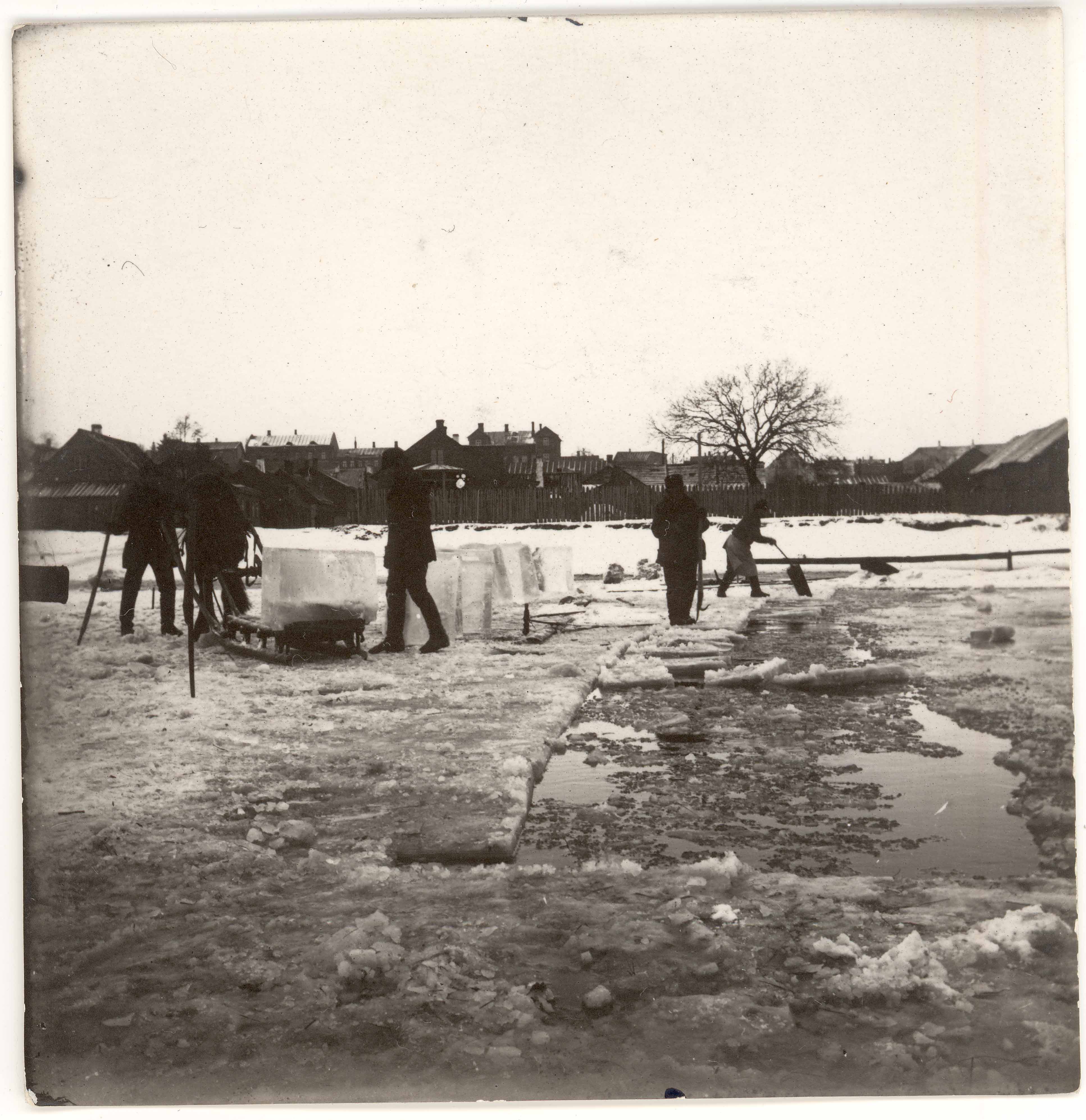 Catching the ice in the Emajõel