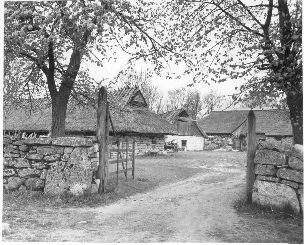 Koguva küla Tooma talu