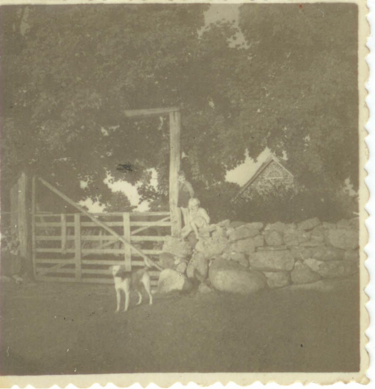 Koguva Välja värav