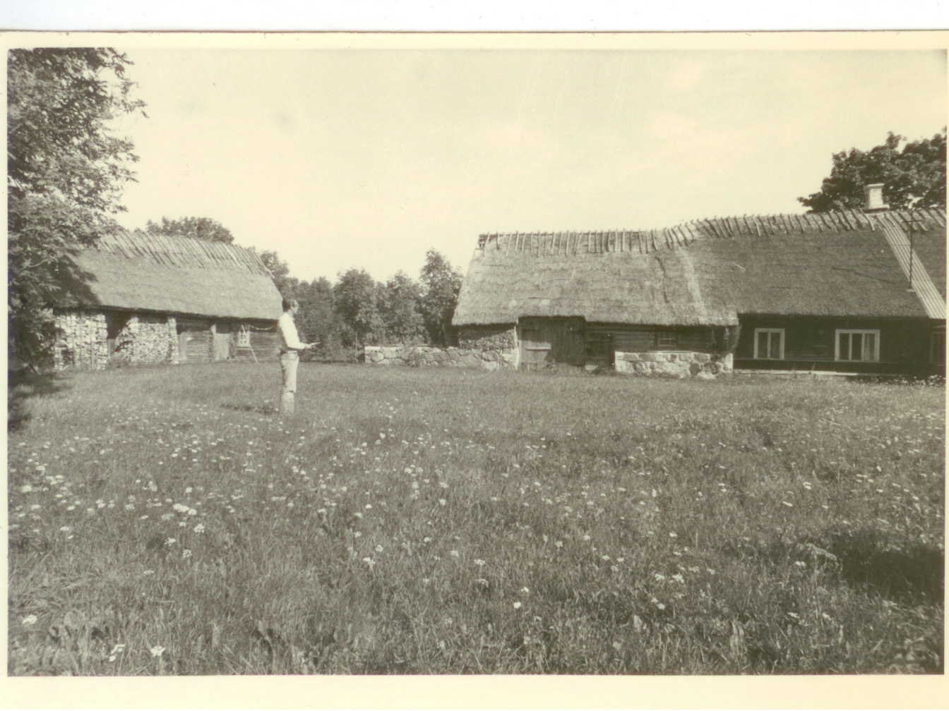 Lõetsa Mäe-Saadu hooned Muhus