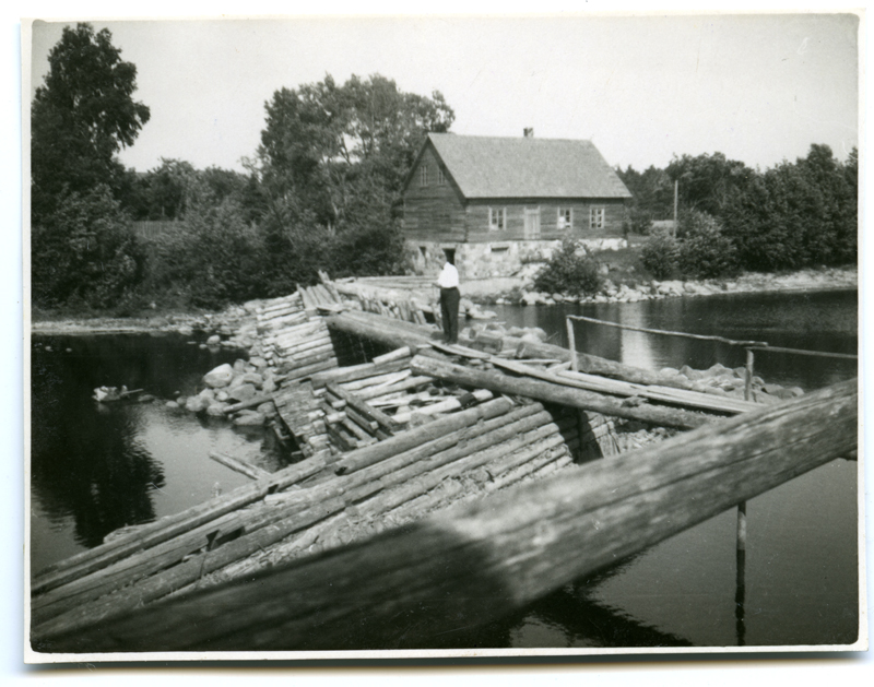 Uulu pais ja vesiveski Reiu jõel. Tammil seismas mees.