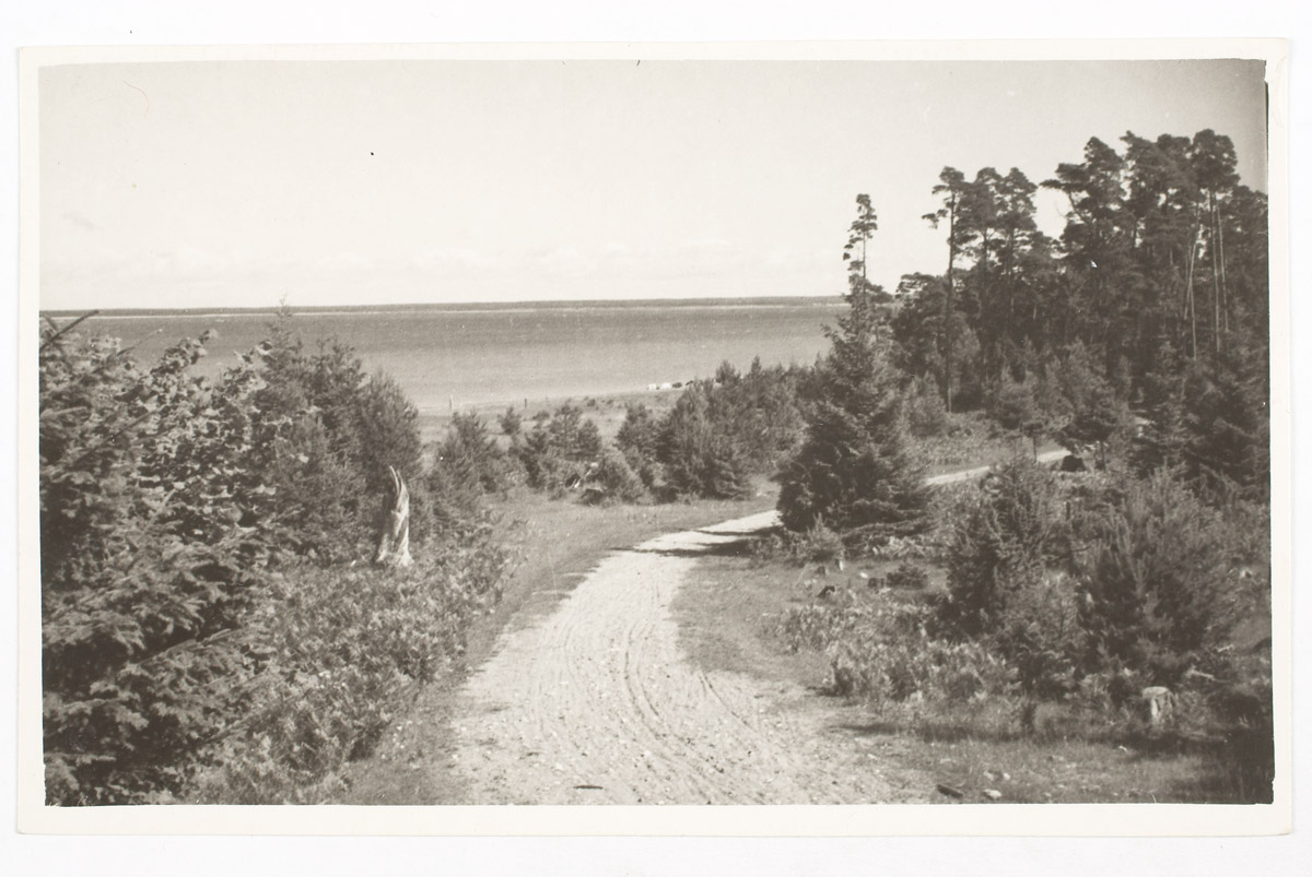 Vaade Vaigurannast Tagamõisa lahele, kust saksa okupatsiooniväed 1917 mihklipäeval Saaremaale tungisid, Kihelkonna