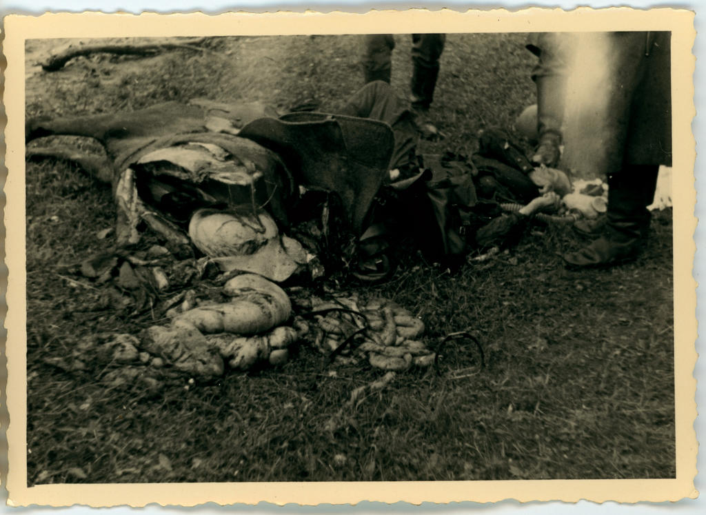Poolik hobuse keha ning vene sõduri surnukeha põllul, ümbritsetuna meestest