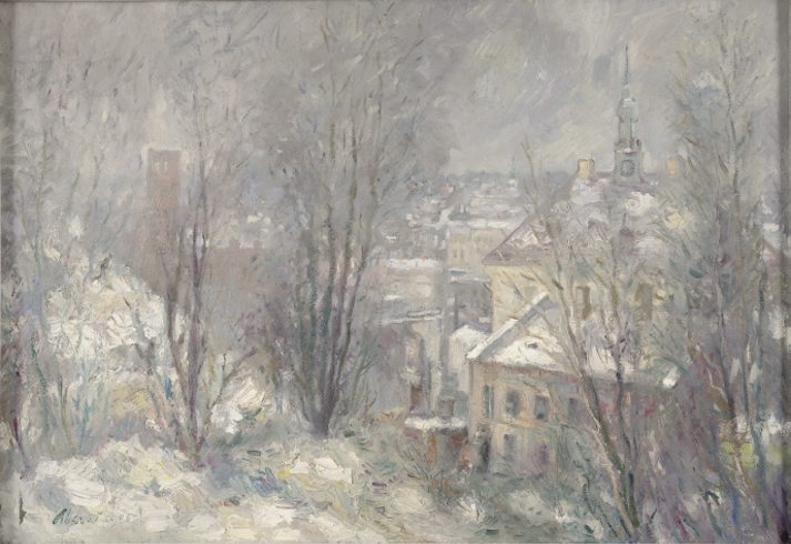 Vaade Tartu Toomemäelt