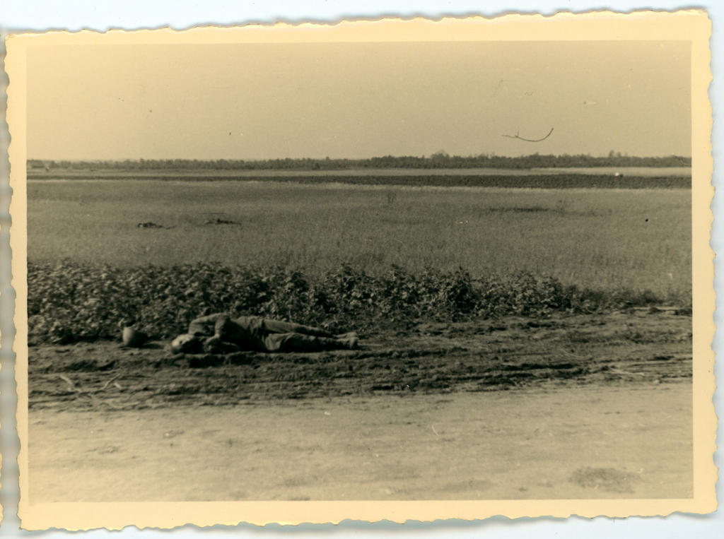 Vene sõdurite surnukehad teepervel ja heinamaal