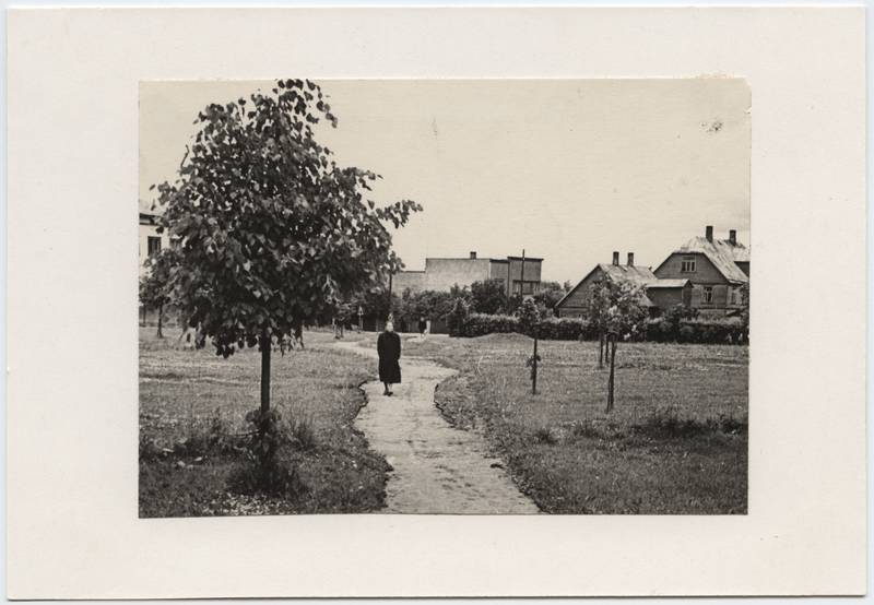 foto, Viljandi, V. Kingissepa (Lossi) tn- J. Gagarini (Uus) tn nurk, haljasala (Pioneeride park), u 1960