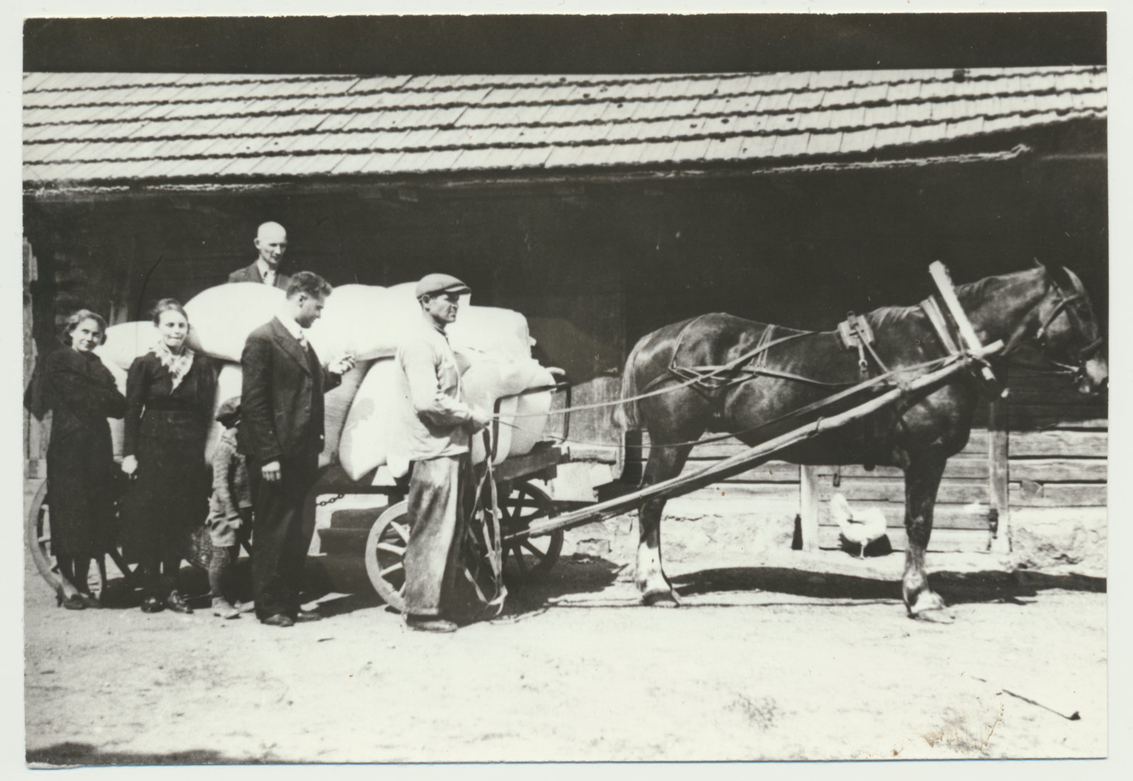 foto Halliste khk, Abja, firma Puhk ja pojad ladu, töötajad, hobune, vanker jahukottidega? u 1930
