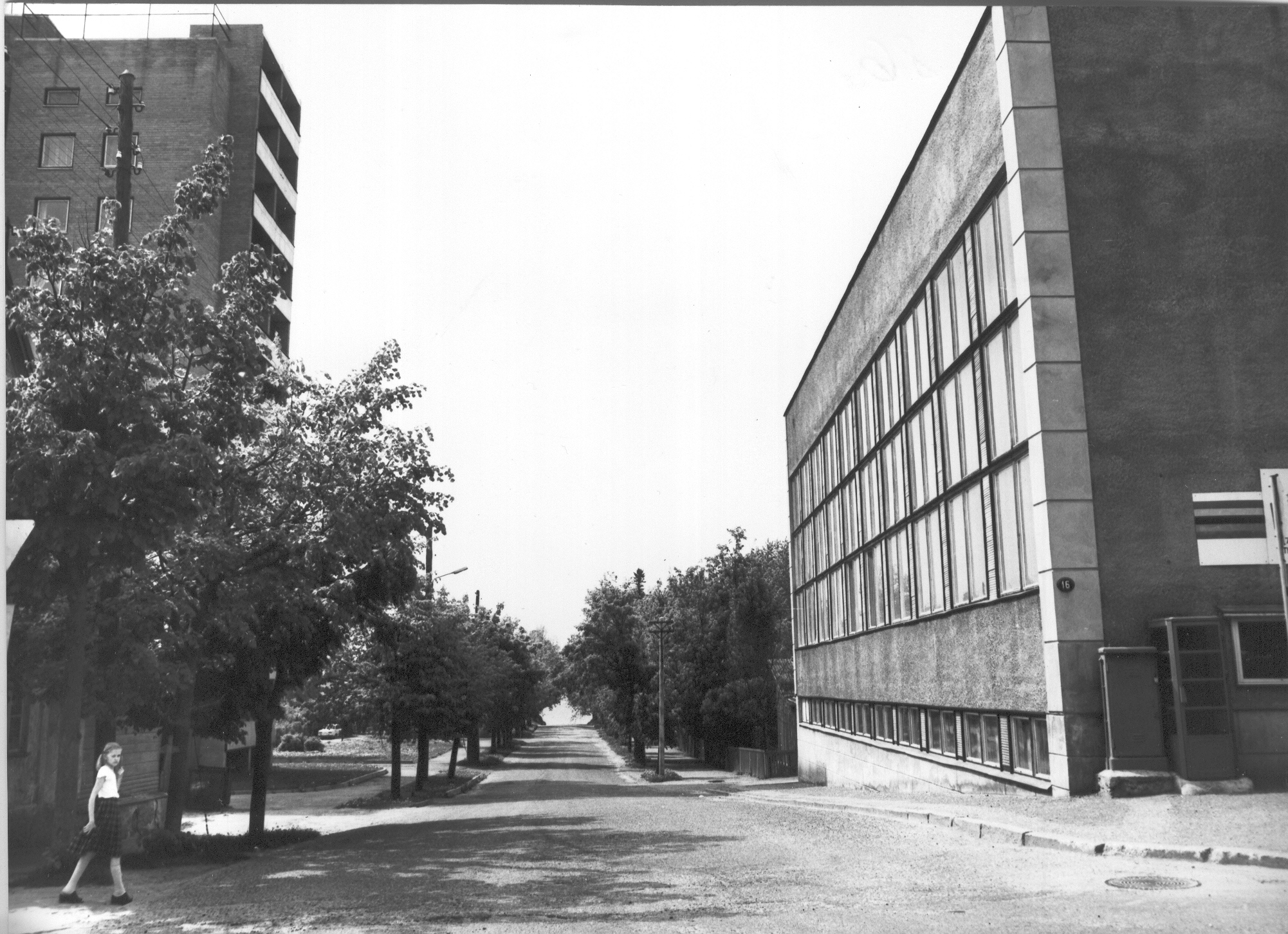 Foto.   Võru,  Tartu tänav Kreutzwaldi ja Tamula järve vahel 1984.a.