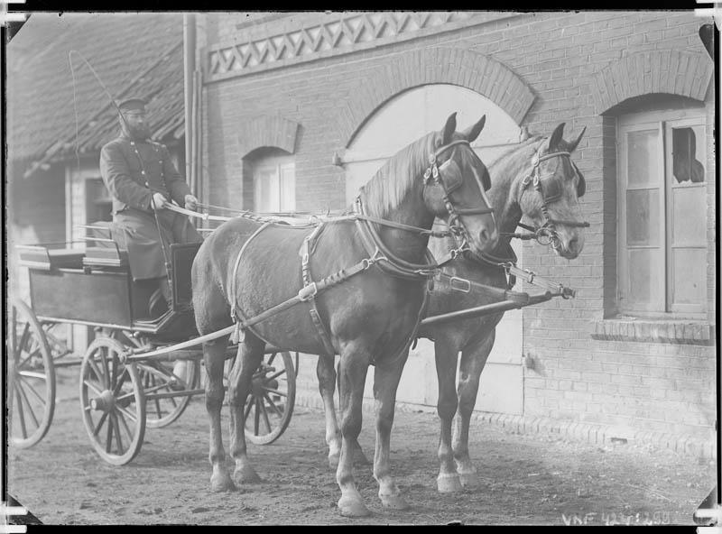 fotonegatiiv, Viljandi, Tartu tn 1 hoov, Seisler, hobused (2), vanker, kutsar, 1910 foto J. Riet
