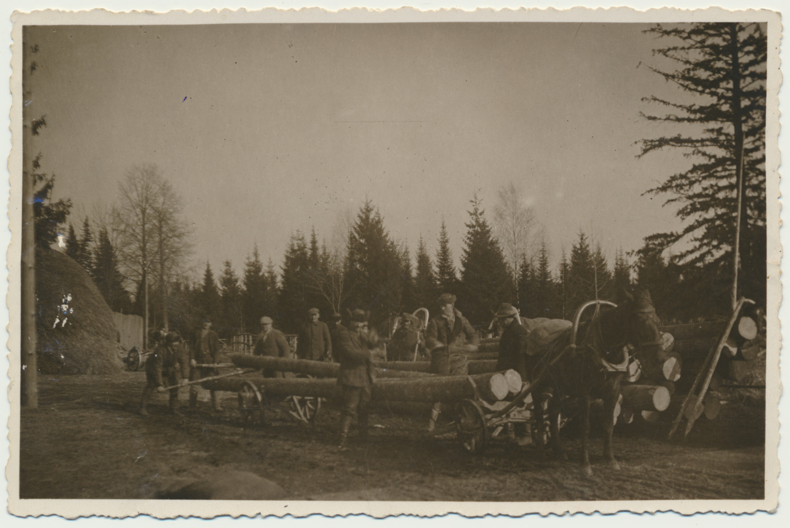 foto, Viljandimaa, Heimtali rahvamaja ehitamise talgud, hobune, palgid, u 1915-1917