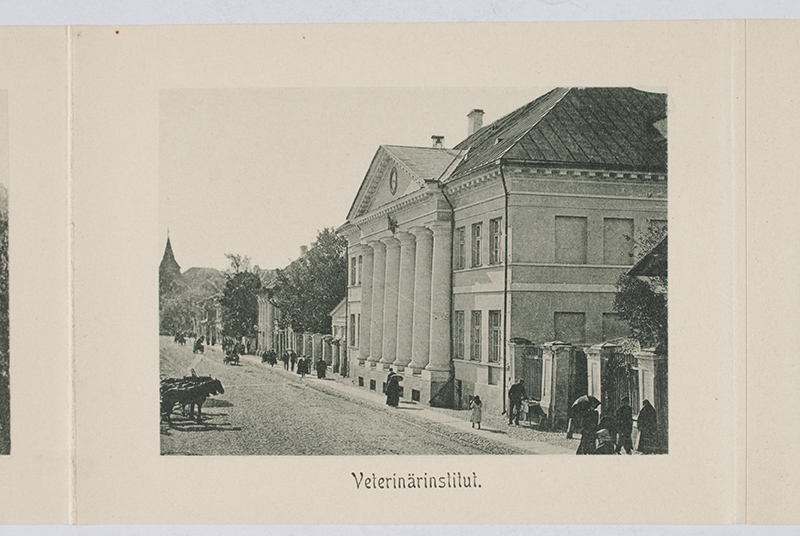 Tartu veterinaarinstituut