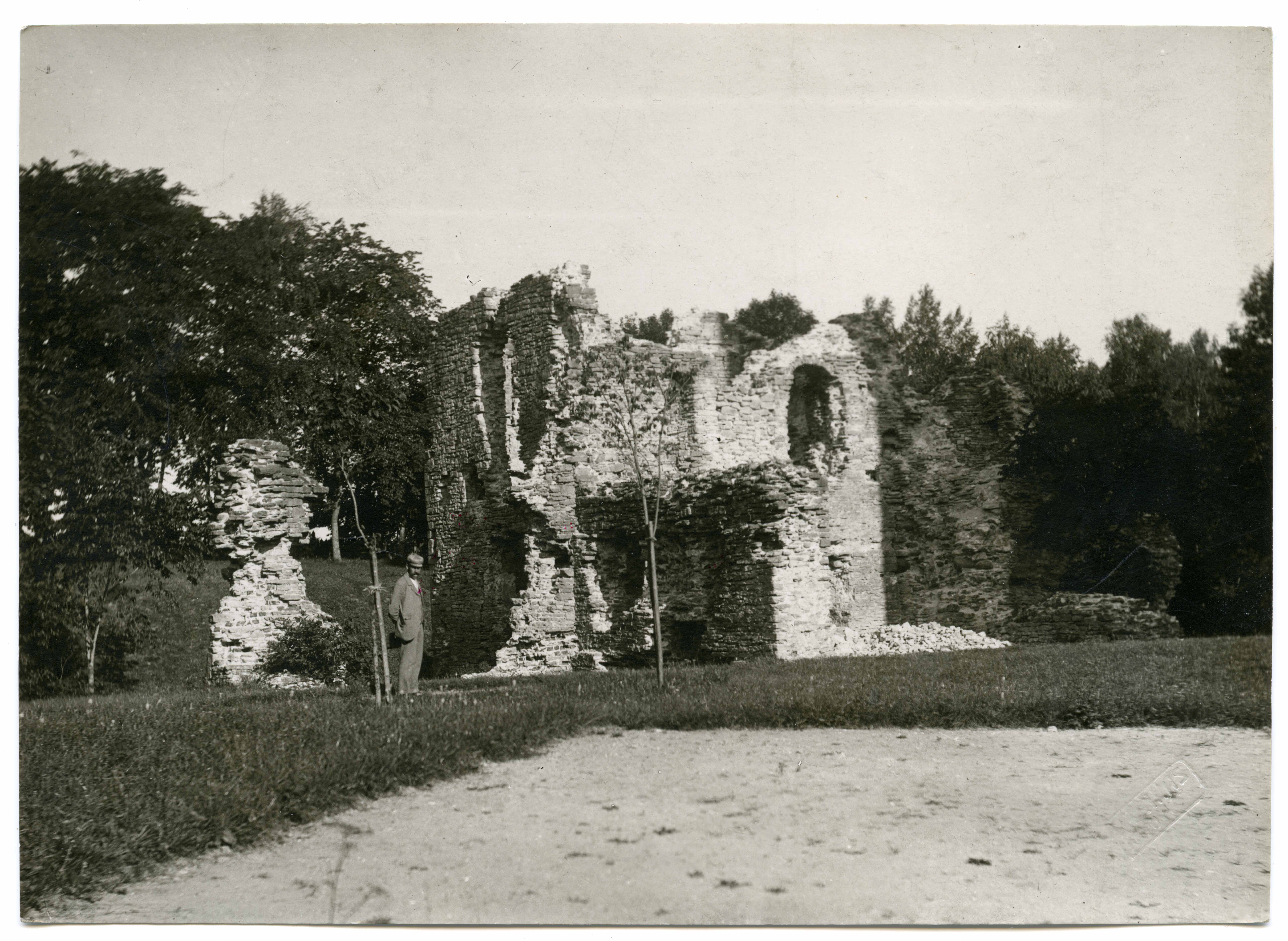 View of the ruins of the round N Tower of the castle from S at the end of the 19th century
