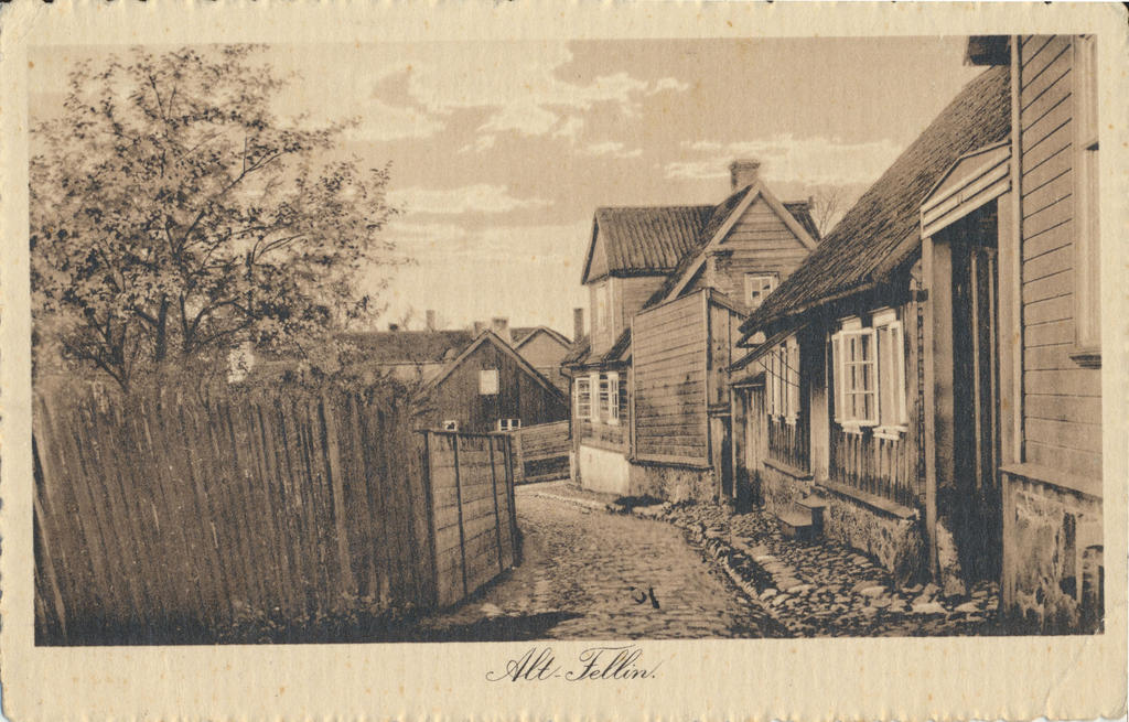 fotopostkaart, Viljandi, Oru tn u 1910 foto  A. Livenstroem