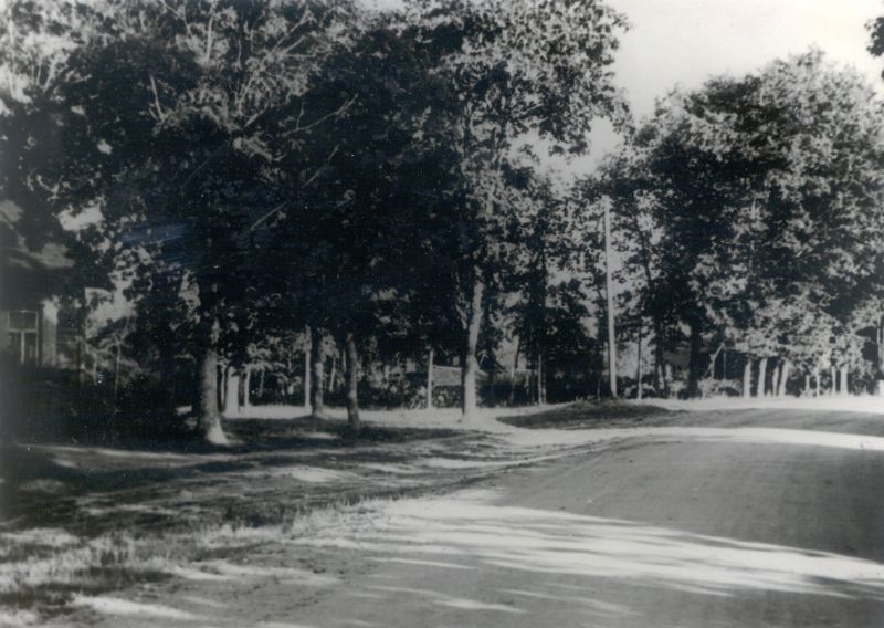 Foto. Piirsalu 7.-a. Kooli park 1957. a. kevadel.  Asub HM 7623.