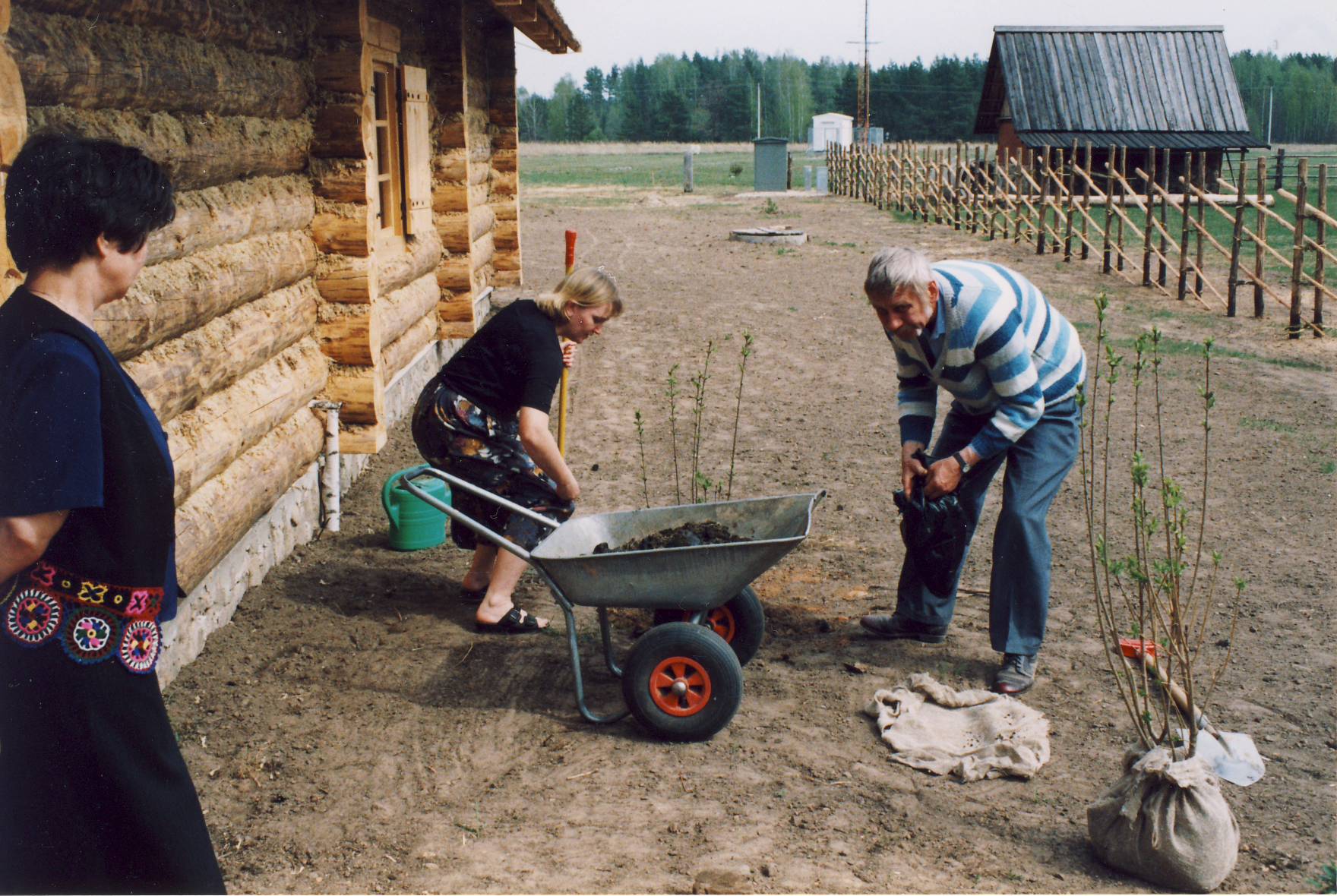 Tsäimaja avamise puhuks kingitud sirelite istutamine.