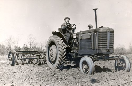Saue MTJ traktorist kultiveerimas