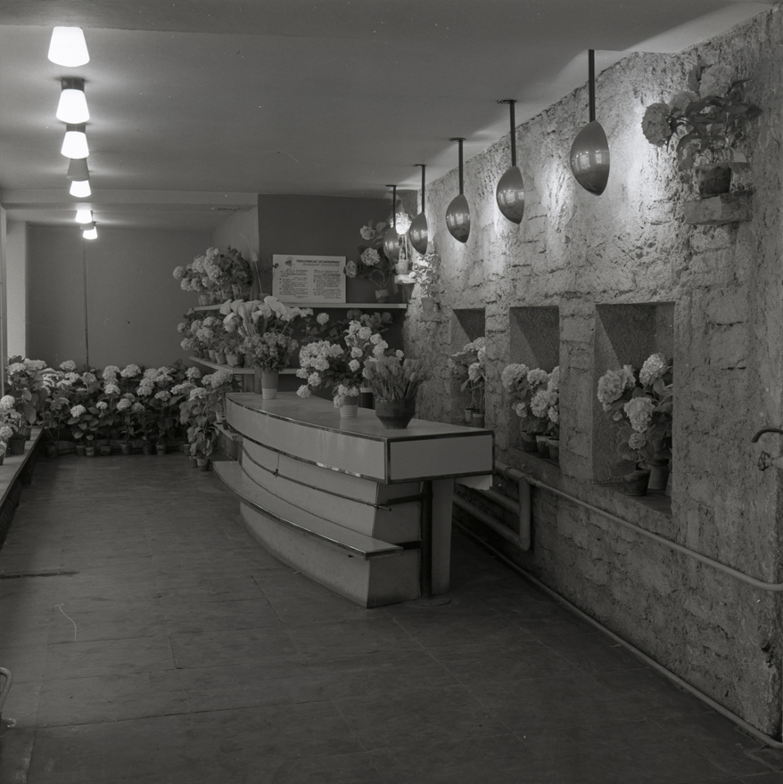 Lillekauplus Müürivahe tänaval Tallinnas, sisevaade