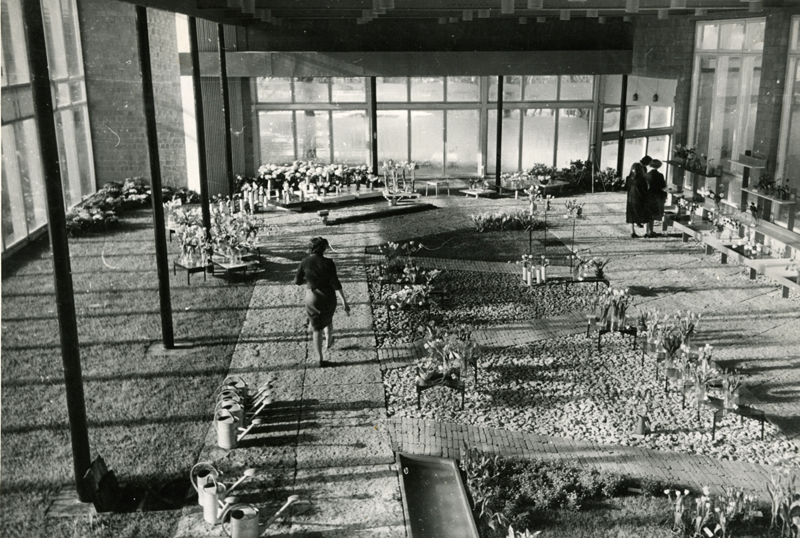 Lillepaviljon Tallinnas, sisevaade. Arhitekt Valve Pormeister, sisearhitektid Vello Asi, Väino Tamm