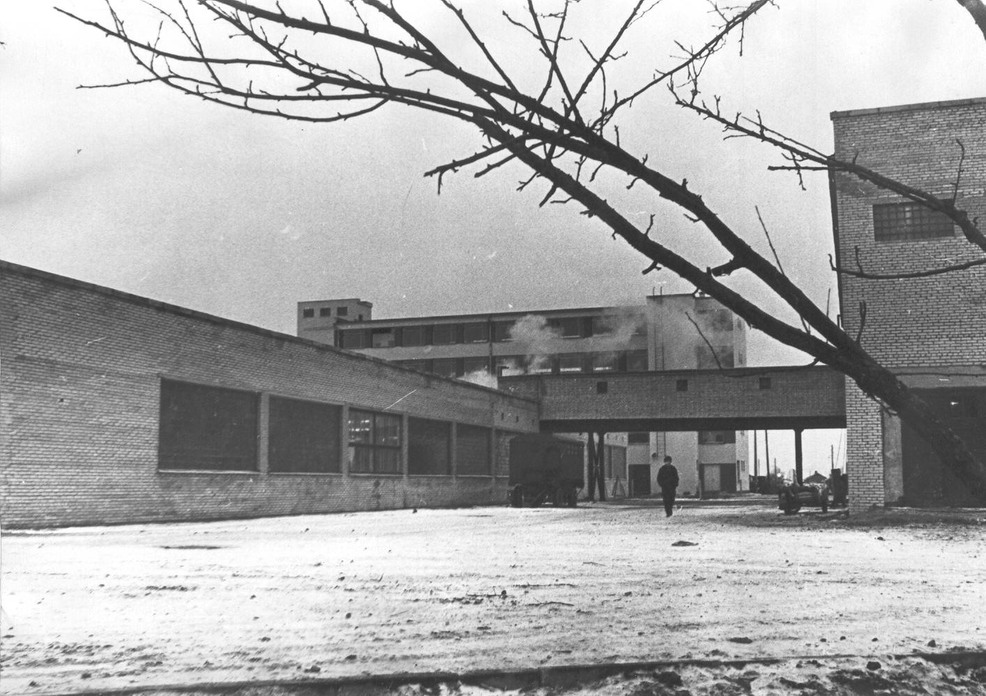 Foto. Võru Piimatoodete Kombinaat 1968.a.