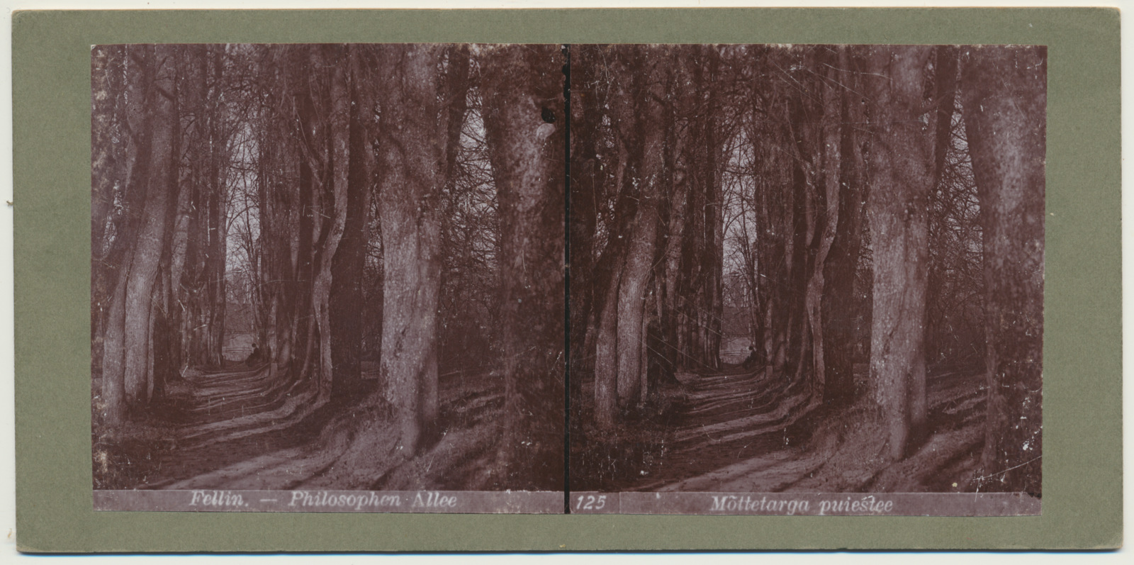 stereofoto, Viljandi, Mõttetarga (Filosoofi) pst, u 1905
