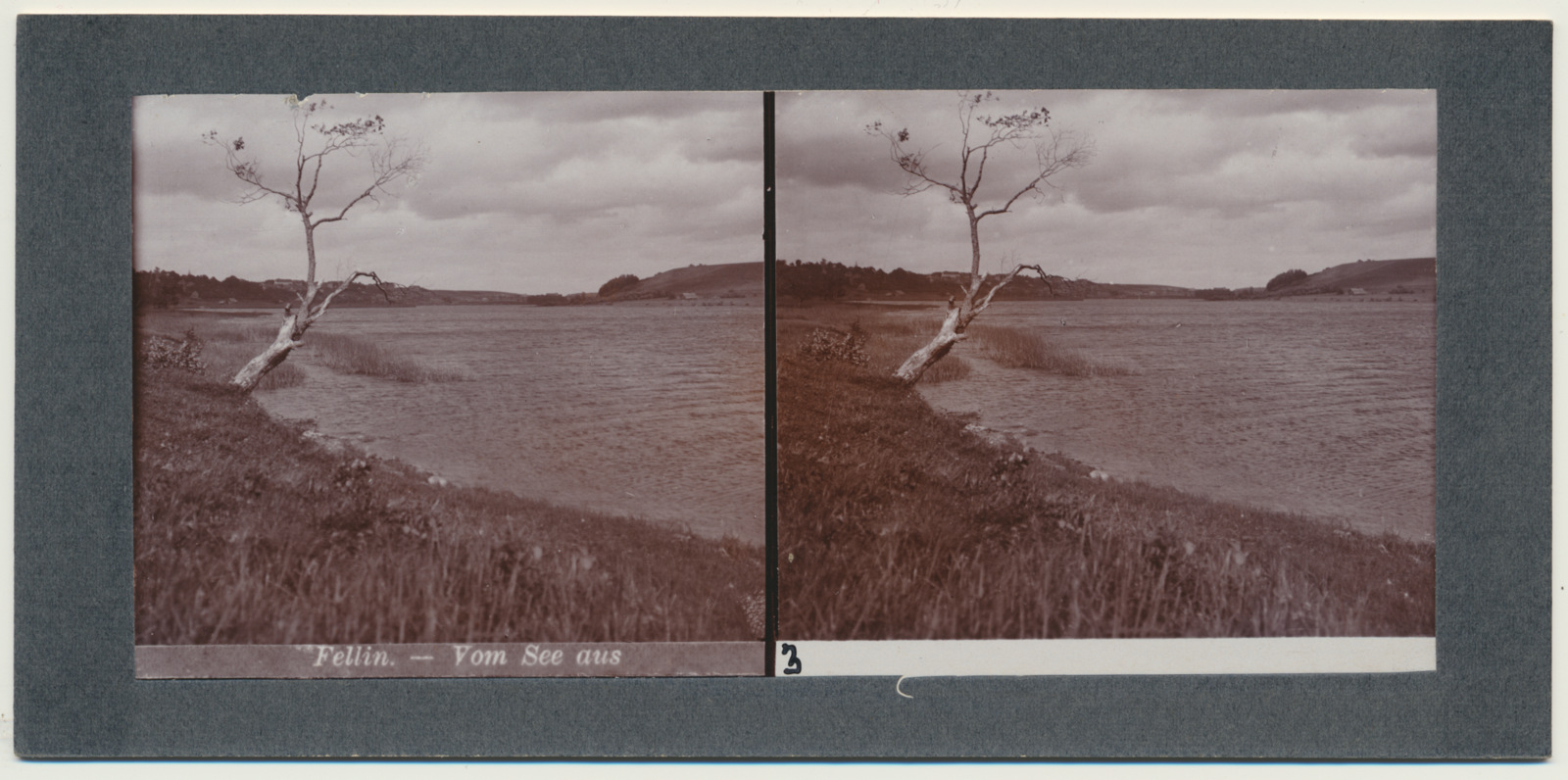 stereofoto, Viljandi, järv, u 1905