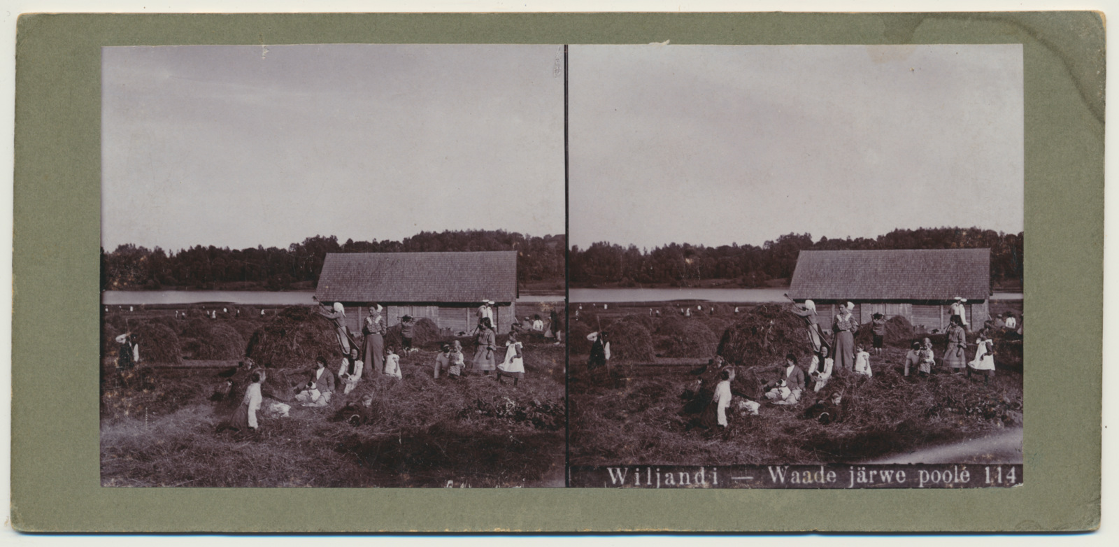 stereofoto, Viljandi, heinamaa, järv, heinalised, küün, u 1905