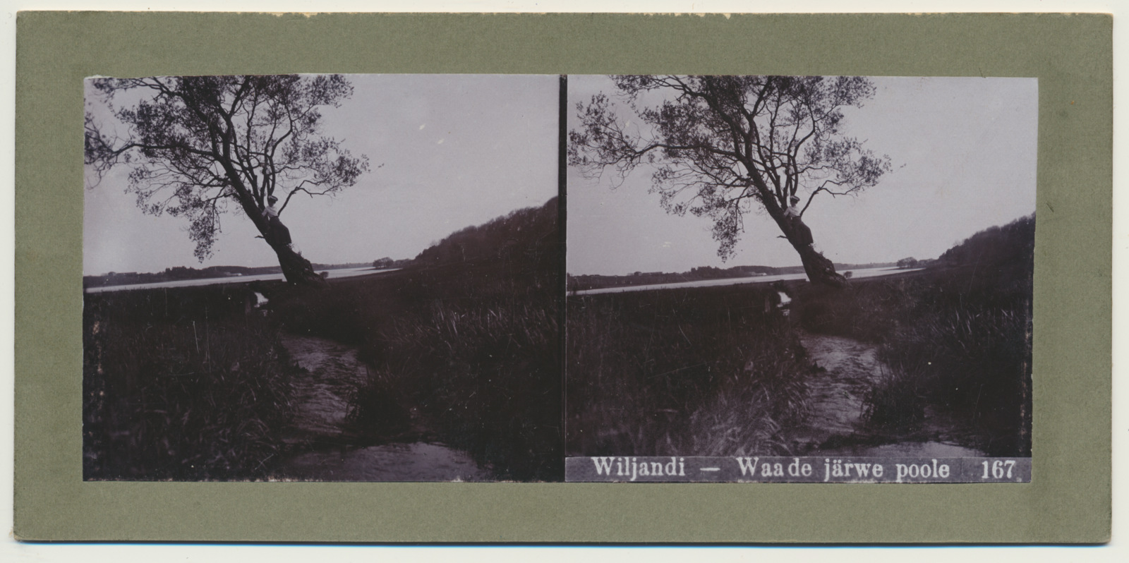 stereofoto, Viljandi, Valuoja oja, eemal järv, u 1905