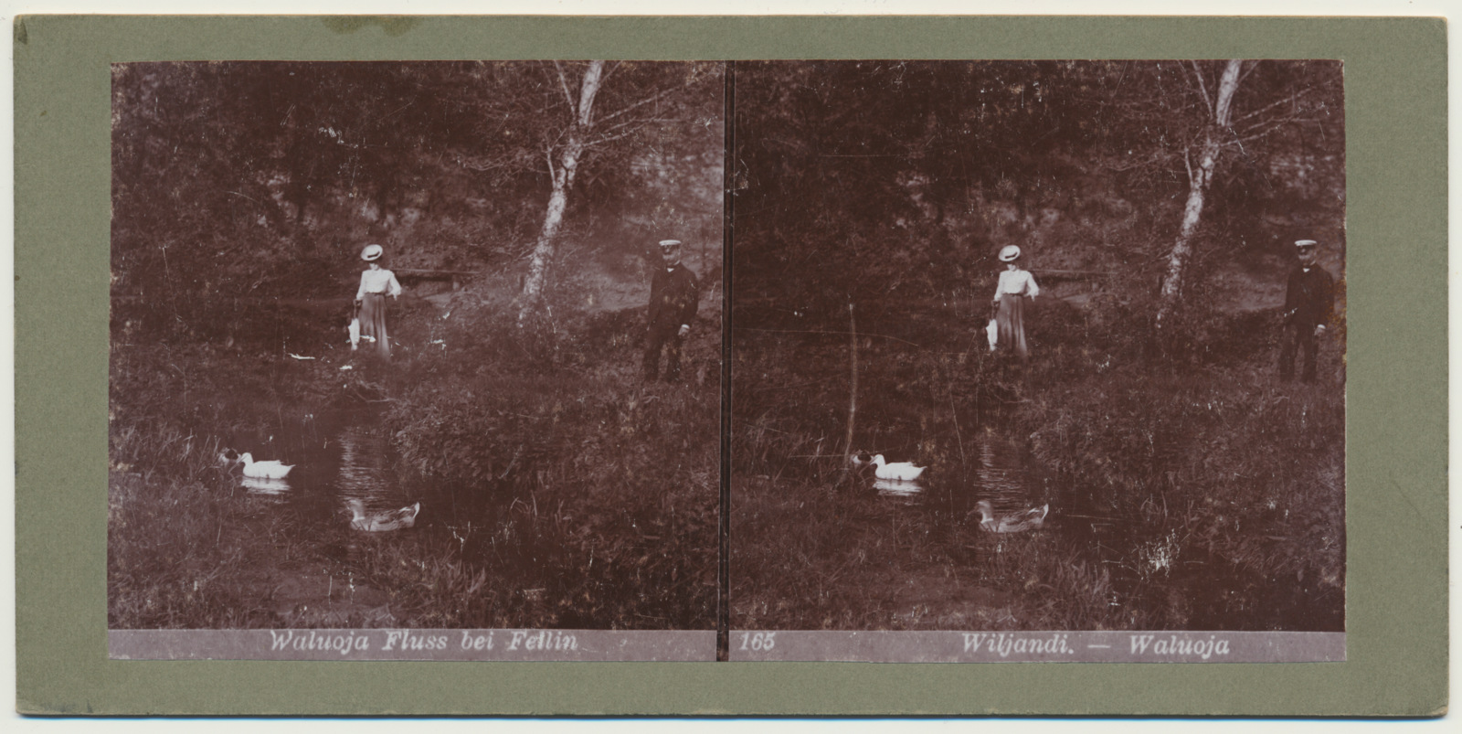 stereofoto, Viljandi, Valuoja oja, pardid, u 1905
