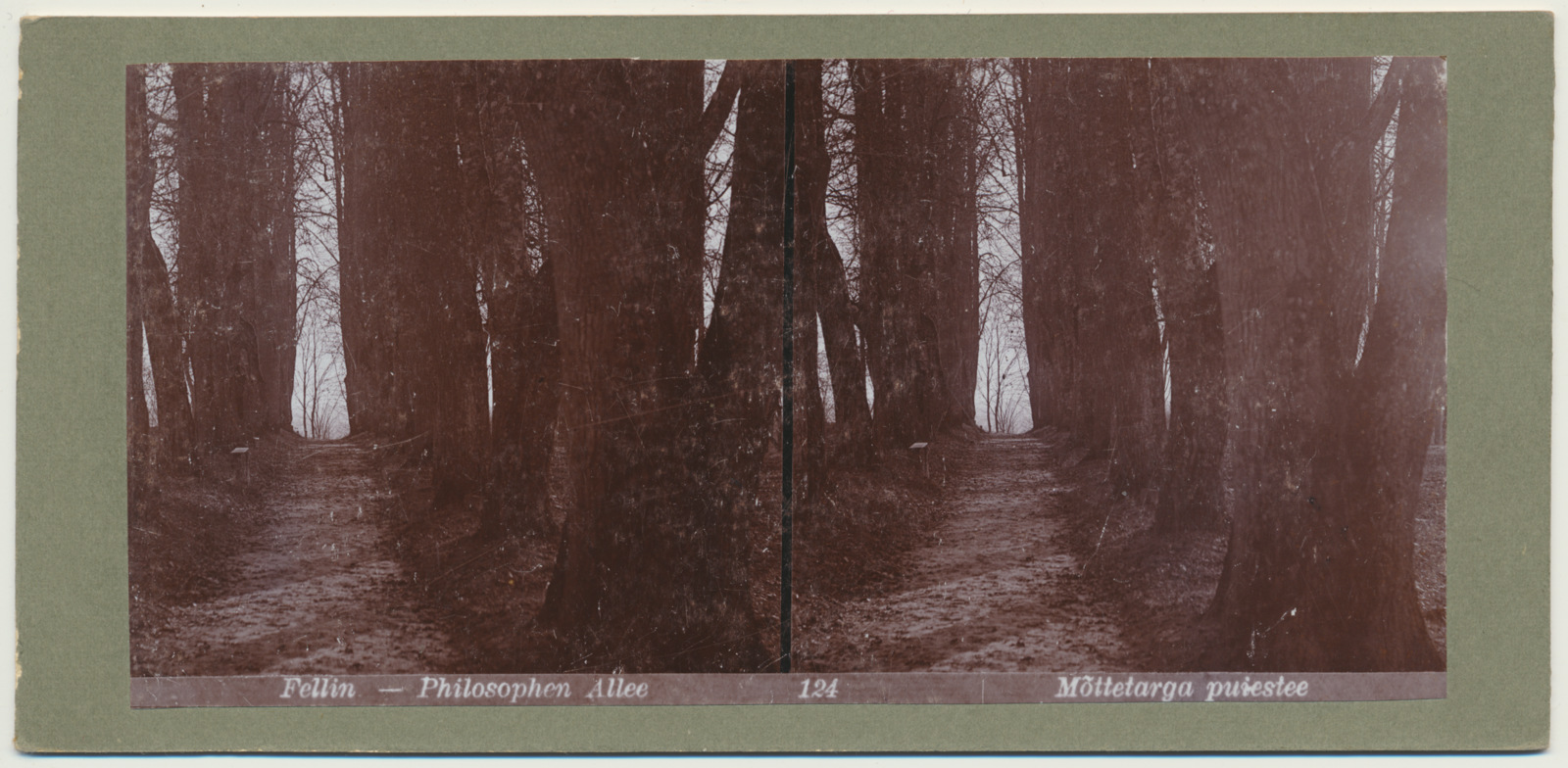 stereofoto, Viljandi, Mõttetarga (Filosoofi) pst, u 1905
