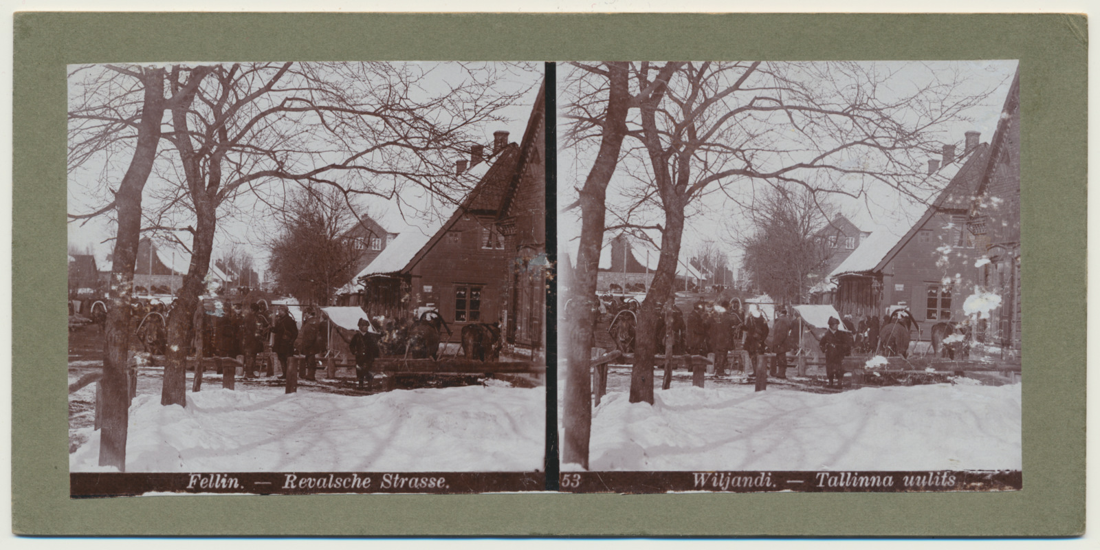 stereofoto, Viljandi, Tallinna tn algus, Kauba tn ots, hobused, u 1905