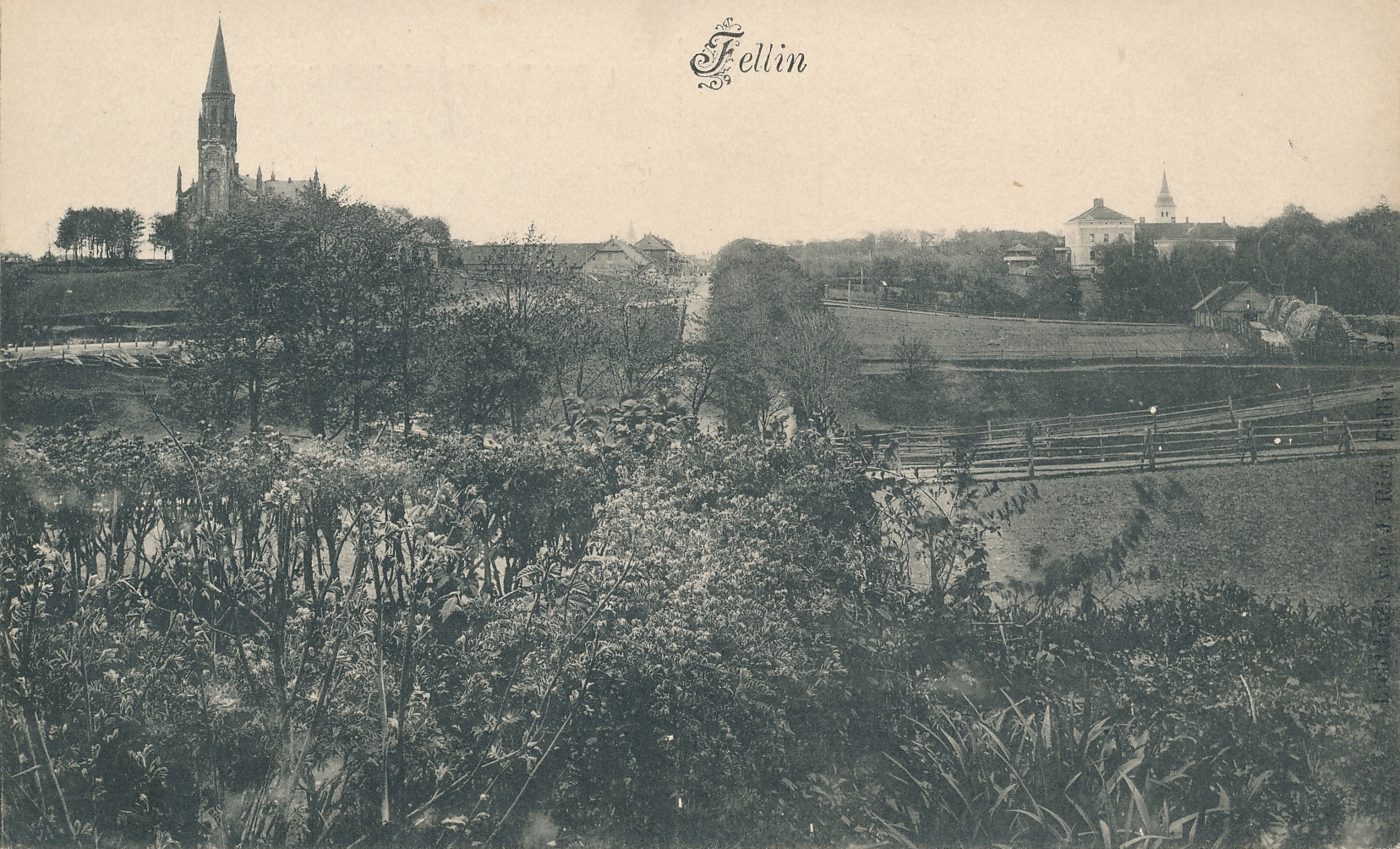trükipostkaart, Viljandi, vaade linnale Vanalt kalmistult u 1910 F J.Riet