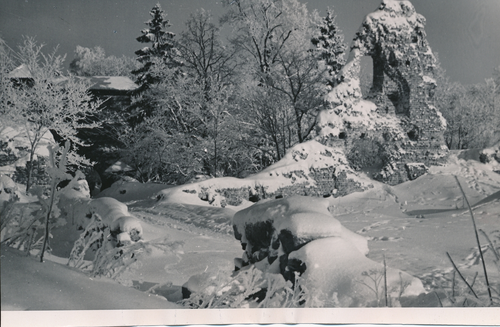 foto Viljandi lossimäed talvel, Kaevumägi u 1960