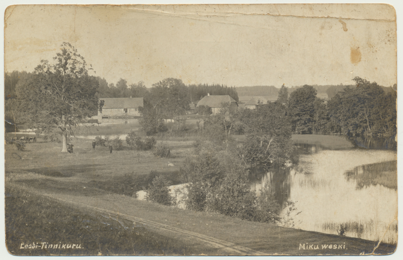 foto, Viljandimaa, Loodi-Tinnikuru, Tagamõisa küla, Miku veski, u 1920