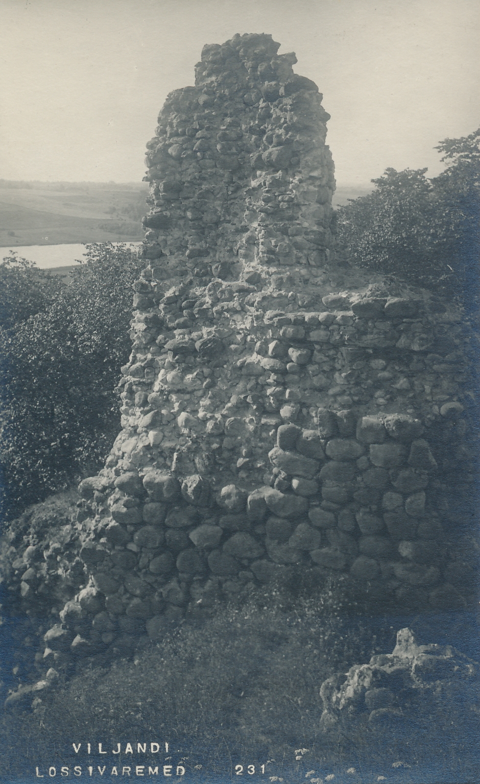 foto, Viljandi, lossimäed ja järv u 1920 F J.Riet