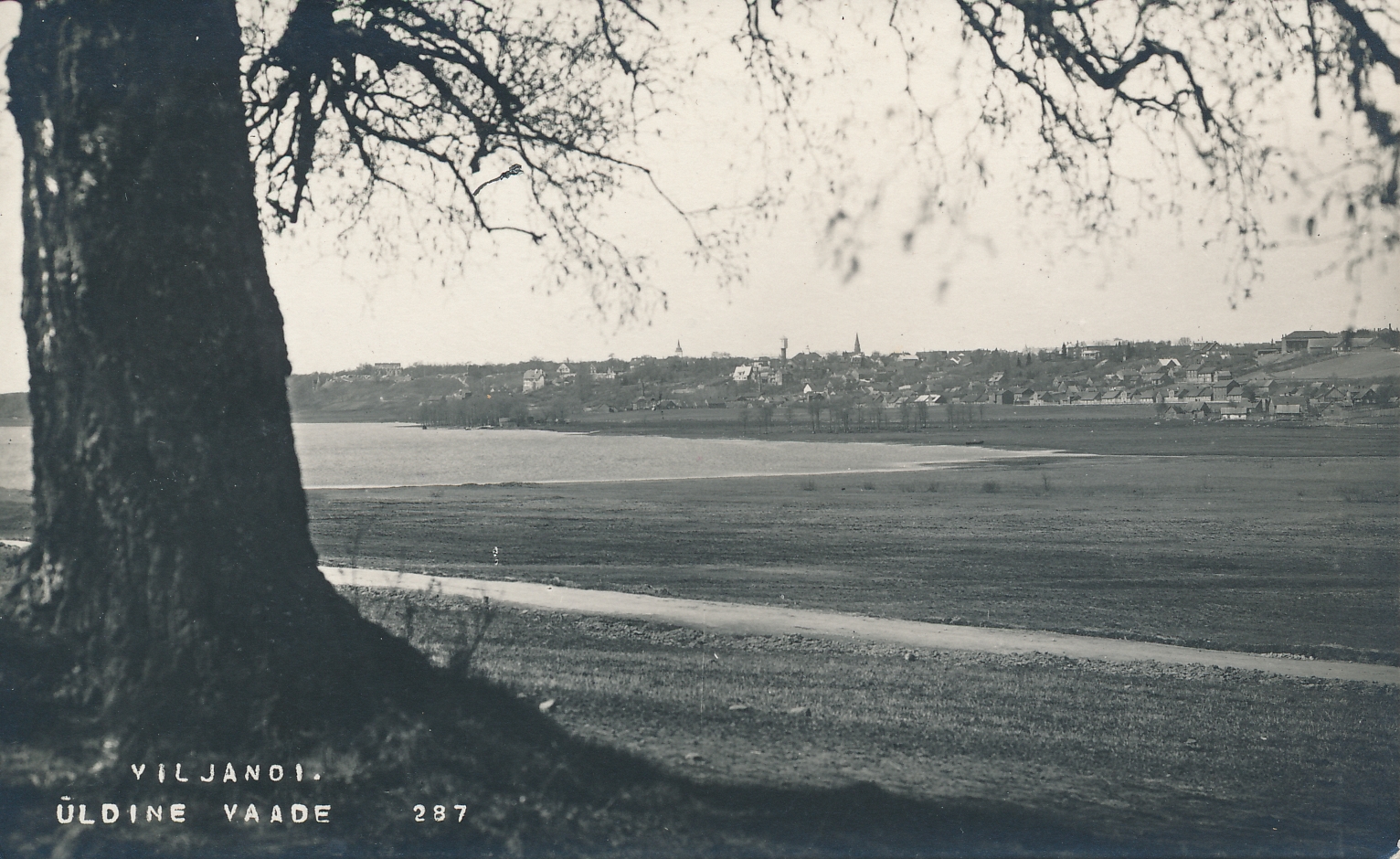 foto, Viljandi, üldvaade linnale u 1915 F J.Riet