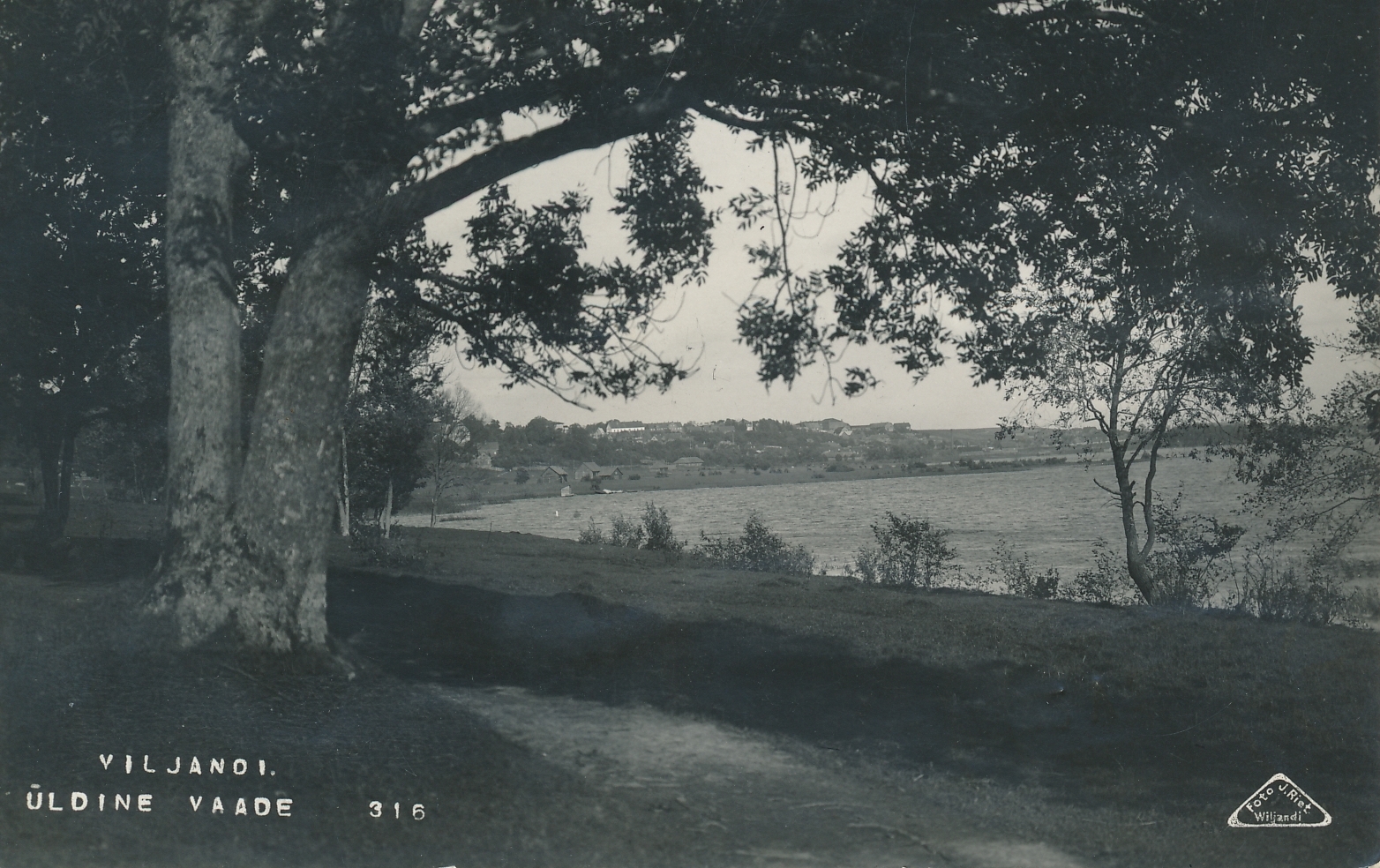 foto Viljandi, vaade järvele, linnale Huntaugu poolt u 1915 F J.Riet