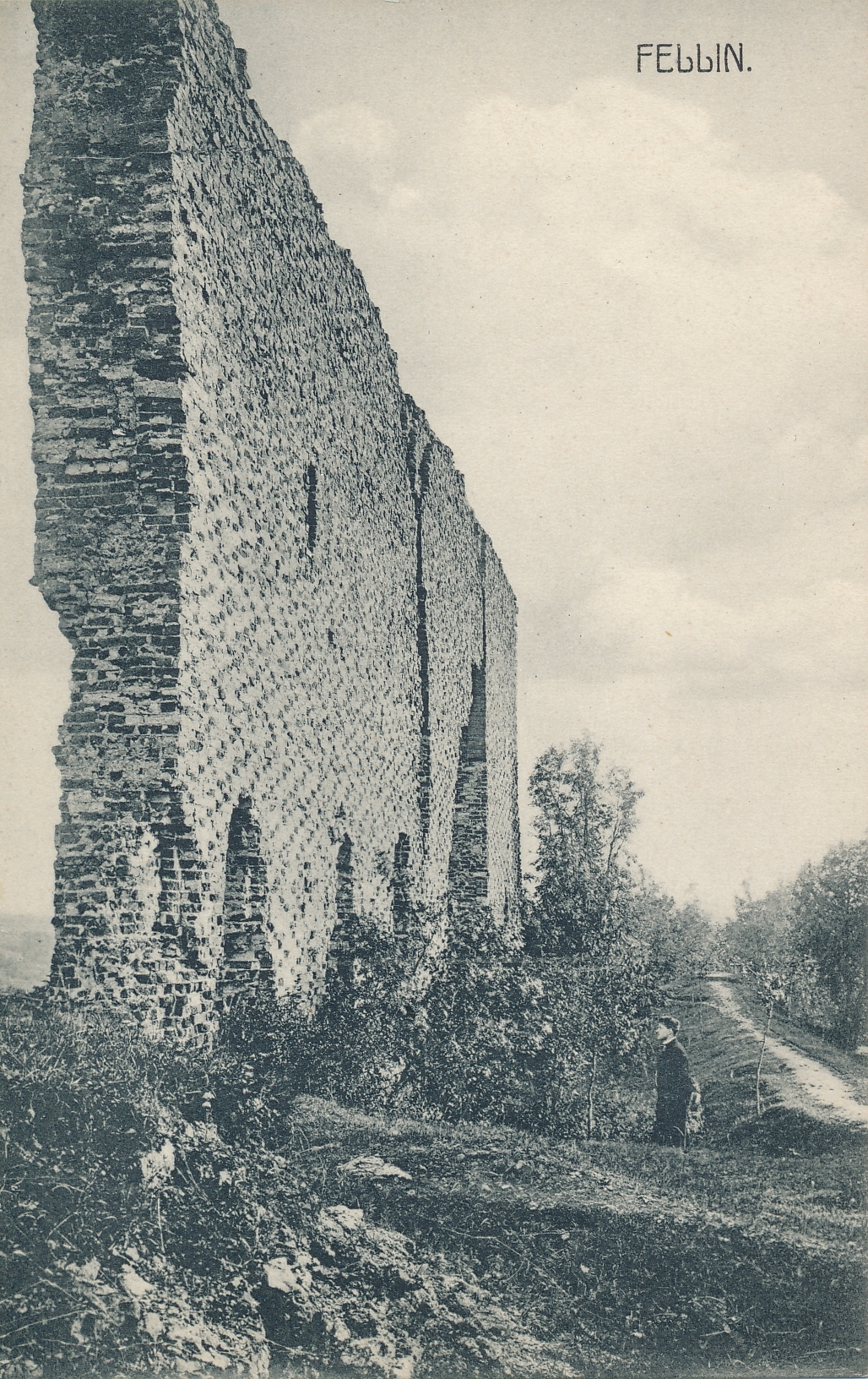 trükipostkaart, Viljandi, lossimäed, Suurmüür u 1905 F J.Riet