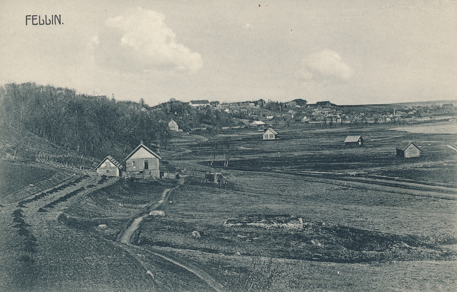 trükipostkaart, Viljandi, järveäärne heinamaa, eemal linnamajad u 1910 F J.Riet