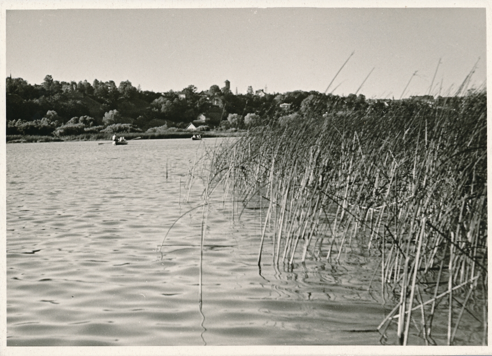 foto, Viljandi, järv, linn, lossimäed, u 1960, foto A. Kiisla