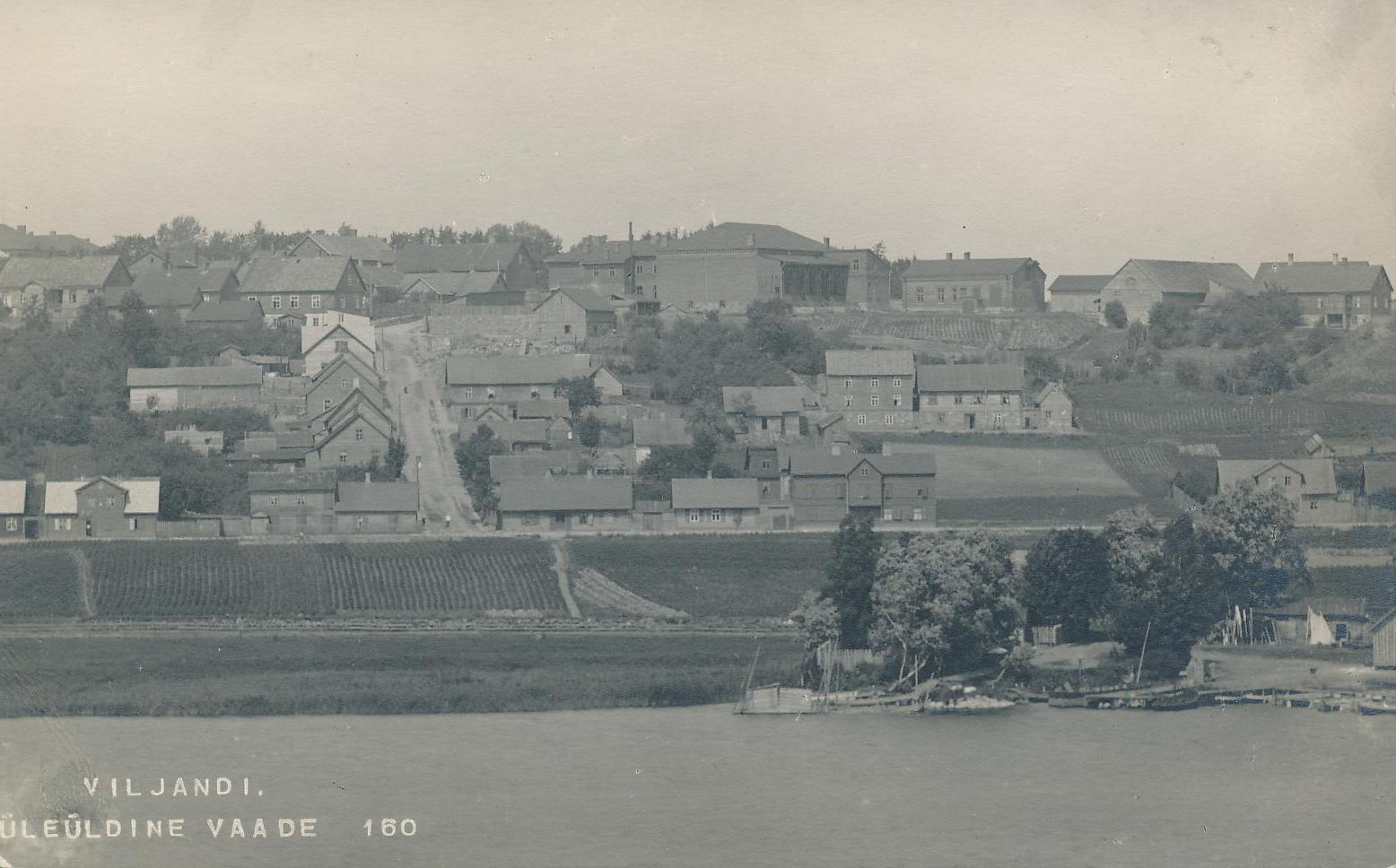 foto, Viljandi, Kõrgemäe t ümbrusega (järve poolt), u 1915, foto J. Riet