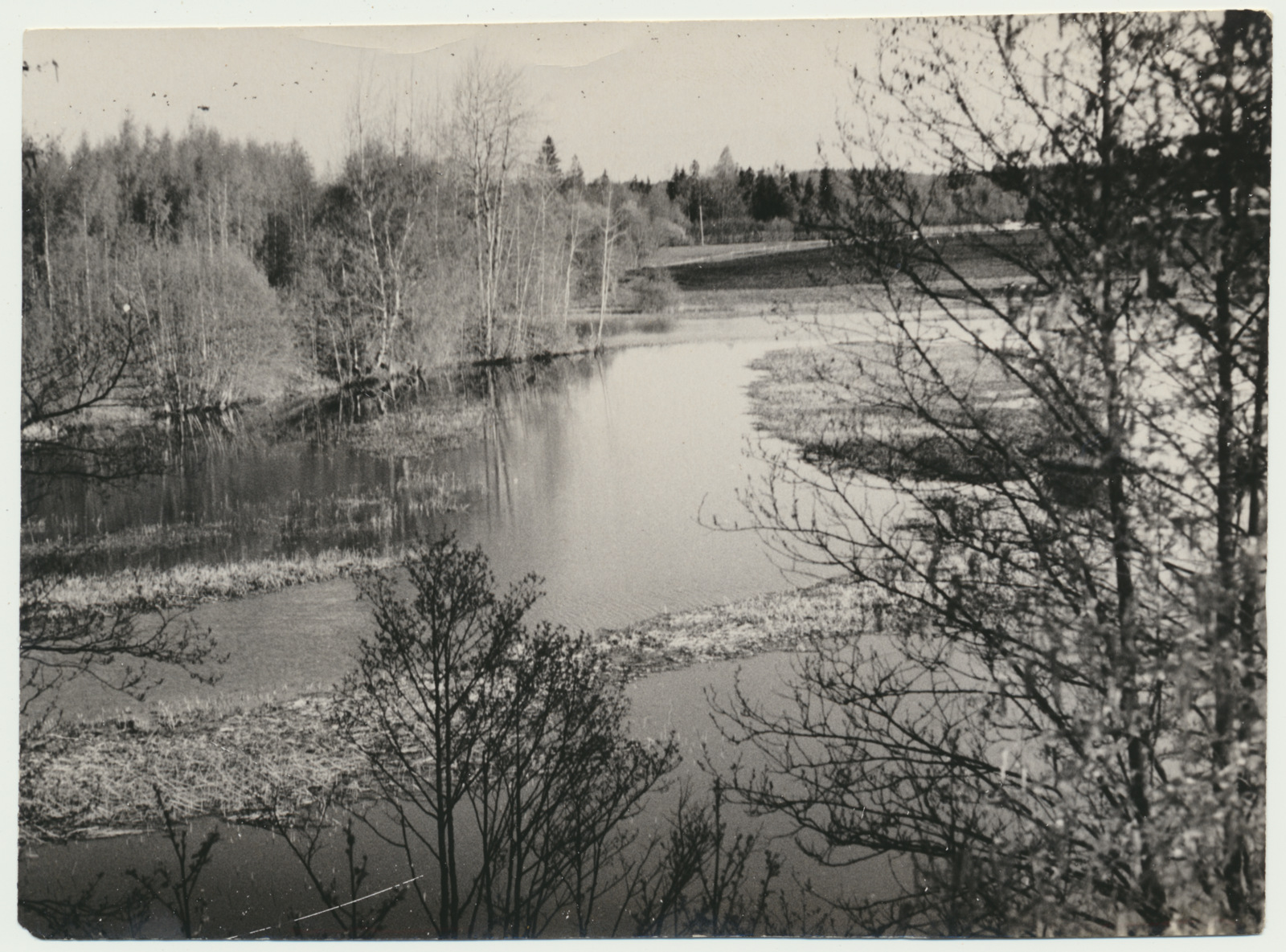 foto Viljandimaa, Holstre, Veske talu ümbrus, M.Veske kodukoht, 1964 F A.Kiisla