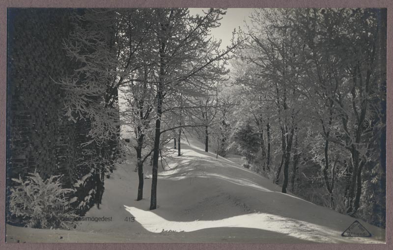 foto albumis, Viljandi, lossimäed, Kaevumägi, Suurmüüri tagune, talv, u 1935, foto J. Riet