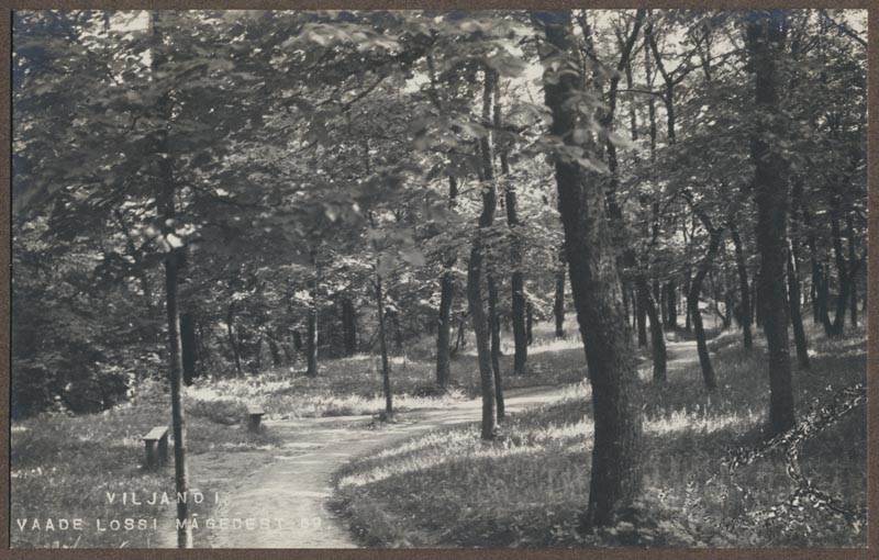 foto albumis, Viljandi, lossimäed, u 1915, foto J. Riet