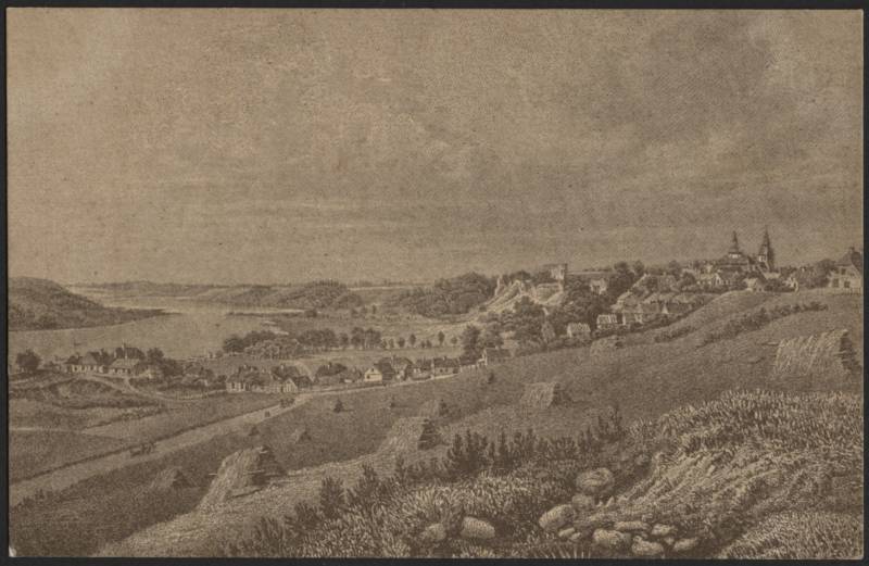 trükipostkaart, Viljandi, linn, järv, Jakobsoni tn, Stavenganei gravüür, 1840, 1924, kirjastus J. Leokese