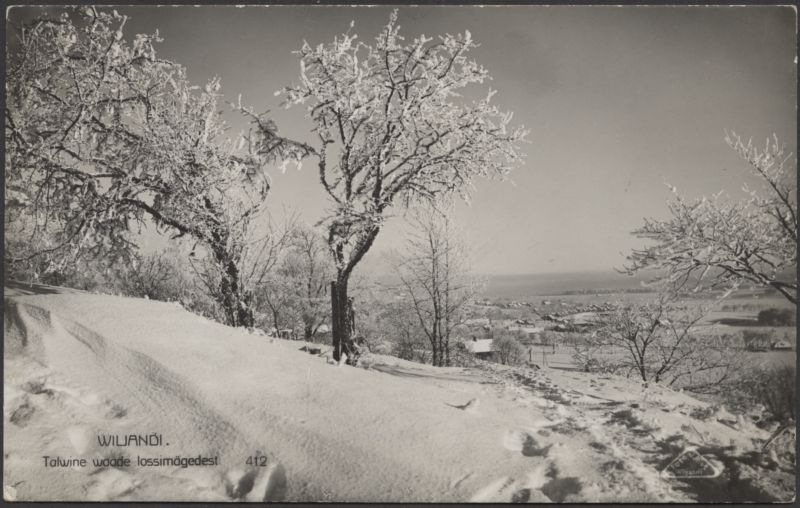 fotopostkaart, Viljandi, Kaevumägi, järvepoolne osa, Kivistiku linnaosa, talv, u 1925, foto J. Riet