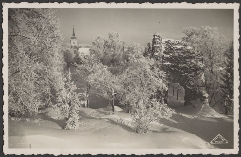 fotopostkaart, Viljandi, Kaevumägi, värav, lähiümbrus, Jaani kirik, u 1925, foto J. Riet