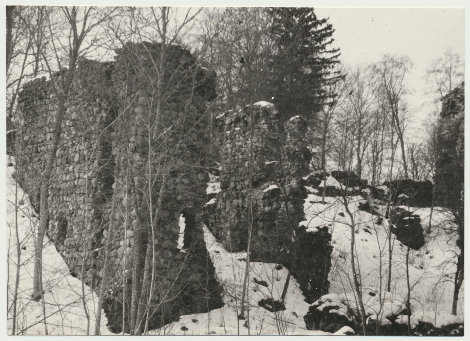 foto Viljandimaa, Tarvastu lossivaremed, 1964 F A.Kiisla