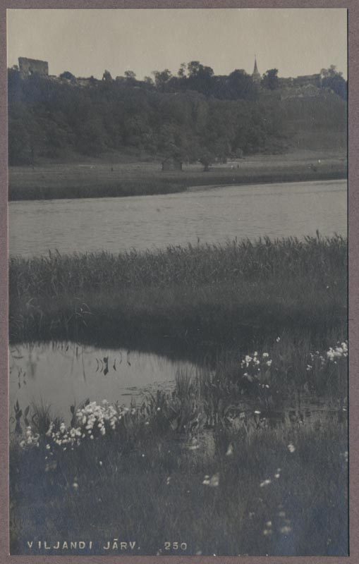 foto albumis, Viljandi, järve vastaskallas, järv, lossimäed, u 1915, foto J. Riet