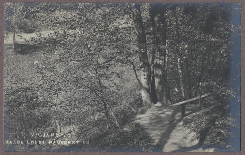 foto albumis, Viljandi, lossimäed, u 1910, foto J. Riet