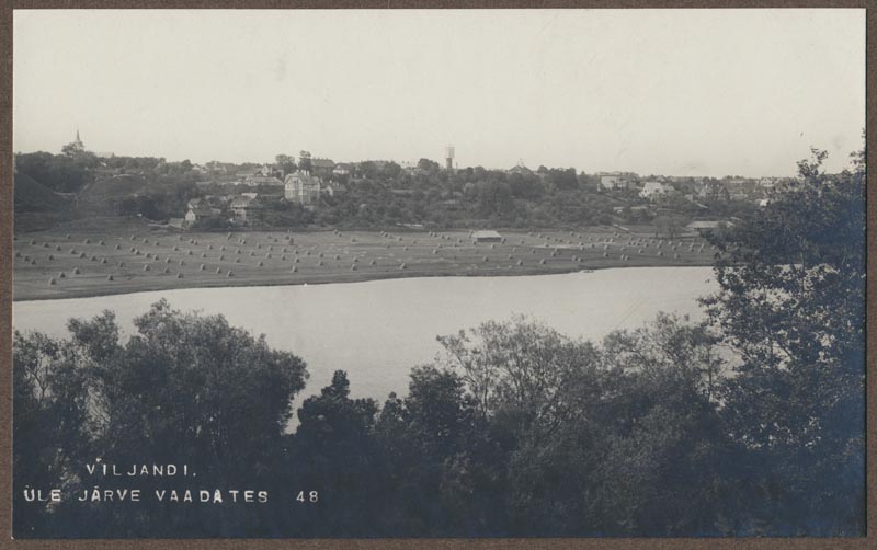 foto albumis, Viljandi, järv, heinamaa, linn, 1913, foto J. Riet